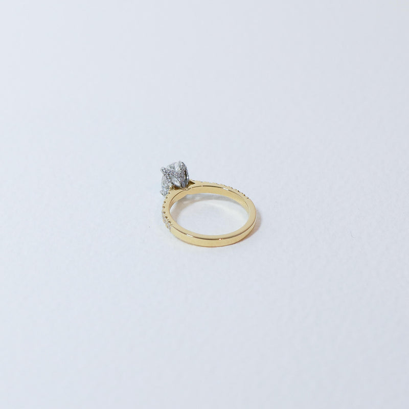 Fleur solitaire with fine diamond detailing. 18ct yellow gold diamond set band